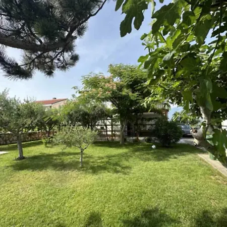 Dil